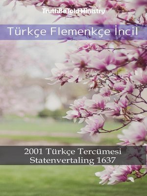 cover image of Türkçe Flemenkçe İncil